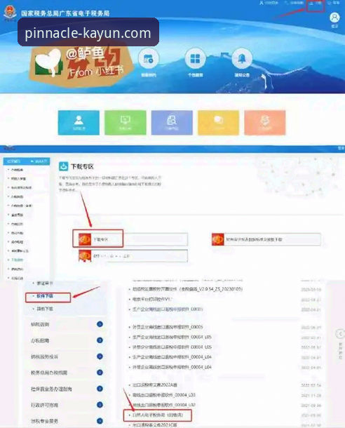 开云官方下载怎么下载详解：从安装到投注的全流程指南